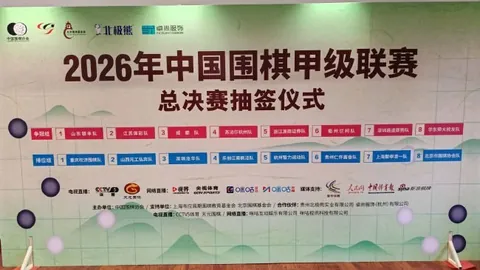 巴黎奥运会女篮巅峰对决：美国队1分惊险逆袭，法国惜败金牌梦碎